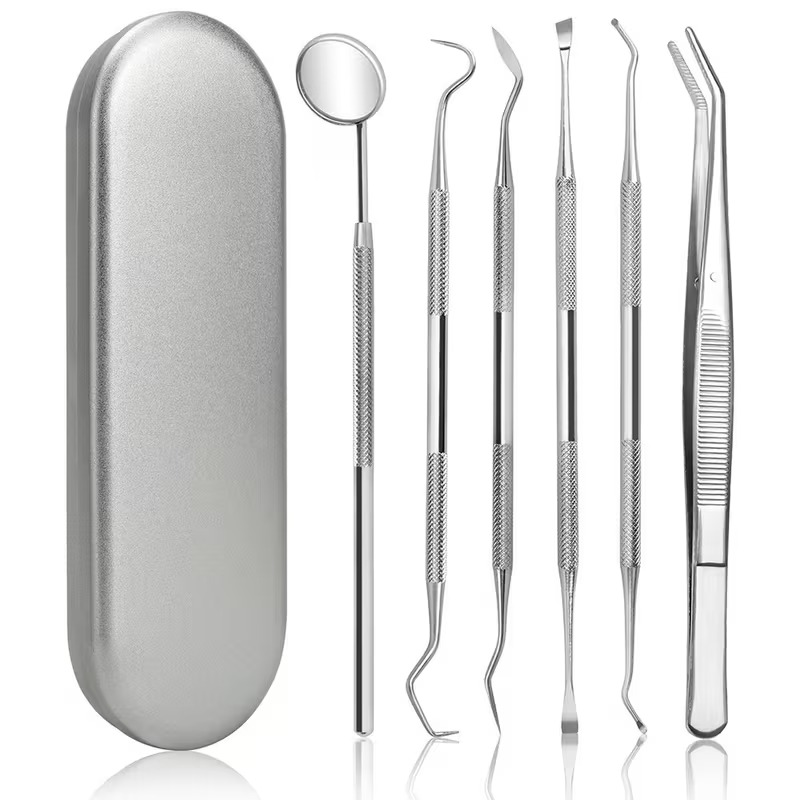 Stainless Steel Dental Cleaning Tool Kit